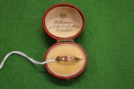 A 9ct gold diamond and ruby ring.