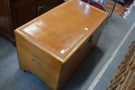 A Chinese camphor wood coffer.