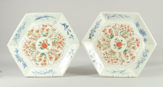 A LARGE PAIR OF WUCAI / BLUE AND WHITE PORCELAIN HEXAGONAL DISHES, painted with decorative foliate