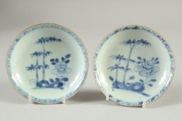 A PAIR OF CHINESE NANKING CARGO BLUE AND WHITE PORCELAIN TEA BOWLS AND SAUCERS, painted with