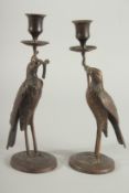 A PAIR OF BRONZED METAL BIRD CANDLESTICKS on circular bases. 10ins high.