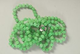 A GOOD DOUBLE ROW OF JADE BEADS with white gold clasp. 13ins long..