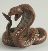 A JAPANESE BRONZE OKIMONA of a snake.