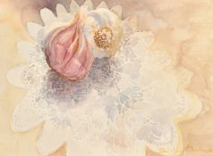 Shirley Chalmers (20th Century), a pair of watercolour studies of flowers and garlic, signed, each