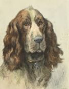 Herbert Dicksee, a colour engraving of spaniel, plate size 13