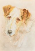 Attributed to John Walker, Head study of a Terrier, watercolour, bears inscriptionverso, 5.5