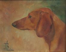 Early 20th Century Continental School, a head study of a Dachshund, oil on canvas, signed with