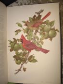 [NATURAL HISTORY] AMUCHASTEGUI (Axel) artist: Some Birds and Mammals of North America, large folio