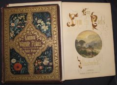 FOSTER (Birket) Common Wayside Flowers, by Thomas Miller, sm. 4to, elaborate binding designed by