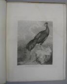 [CHINA] 9 plates only, incl. d.p. map, from Staunton's China, large folio, 1796.