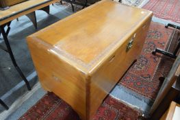 A Chinese camphor wood coffer.