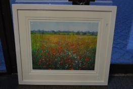 Paul Evans, Poppies in a field, limited edition colour print.