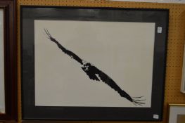 Large black and white print of a bird of prey.