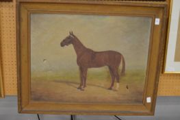 Fifth & Last, study of a horse, oil on canvas.