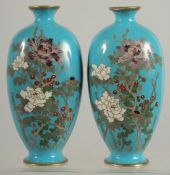 A FINE PAIR OF JAPANESE BLUE GROUND CLOISONNE VASES, decorated with native flora, 15.5cm high.