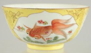 A CHINESE YELLOW GROUND PORCELAIN BOWL, painted with coral red fish with gilt highlights, 12cm