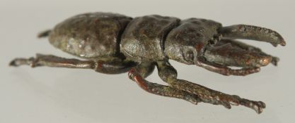 A BRONZE FIGURE OF A BEETLE.