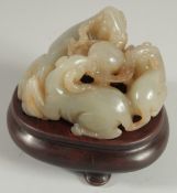 A CHINESE QING DYNASTY CARVED JADE GROUP, depicting three rams, with a fitted hardwood base, jade