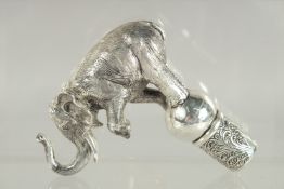 A NOVELTY SILVER PLATED ELEPHANT CANE HANDLE. 4.5ins long.