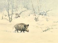 EARLY 20TH CENTURY GERMAN SCHOOL A wild boar walking through a winter landscape, watercolour,