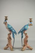 A LARGE PAIR OF BLUE PARROT CANDLESTICKS on rustic bases. 20ins high.