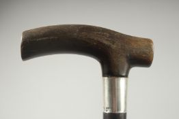 A LARGE RHINO HORN HANDLED WALKING CANE with silver band.