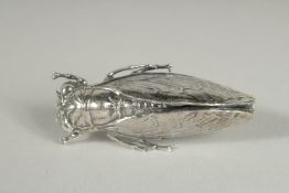 A SILVER SCARAB BROOCH.