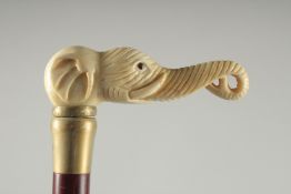 A BONE HANDLE WALKING STICK 'ELEPHANT'.