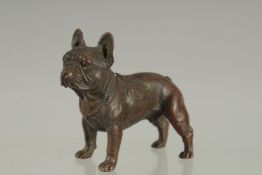 A BRONZE BULL DOG.