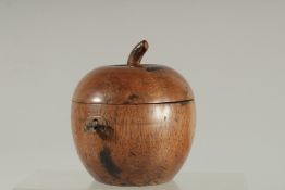 A GOOD APPLE TEA CADDY. 4ins diameter.