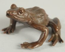 A JAPANESE BRONZE FROG. 2ins.