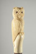 A BONE HANDLE WALKING STICK 'OWL'.