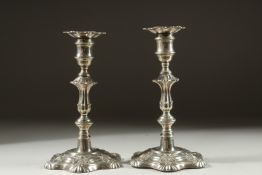 A GOOD PAIR OF WILLIAM IV SILVER SHELL CANDLESTICKS. Sheffield, 1833. Maker: R. W. & Co. 8.5ins