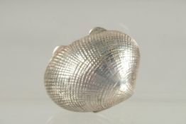 A SILVER CONCH SHELL PILL BOX. 1.25ins long.