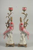 A GOOD PAIR OF PARROT CANDLESTICKS on gilt bases. 17ins high.