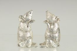 A PAIR OF NOVELTY SILVER PLATE MICE SALT AND PEPPERS. 2ins high.