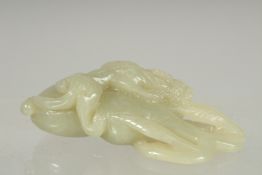 A CHINESE CARVED GREEN JADE OCTOPUS. 3ins high.