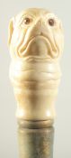 A WALKING STICK WITH CARVED BONE HANDLE 'PUG DOG'S HEAD'.