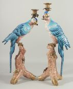 A GOOD LARGE PAIR OF SEVRES DESIGN BLUE PORCELAIN PARAKEET CANDLESTICKS. 20ins high.