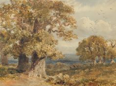 English School, A group of deer in a wooded landscape, watercolour, 8.75