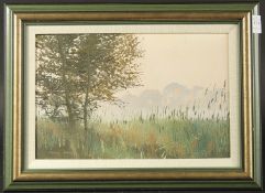 Pamela Derry (20th Century), view of a tree lined field at dusk, oil on board, signed, 9