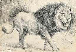 Raoul Millais, 'Saved', study of a lion, charcoal, signed andinscribed, 6.75
