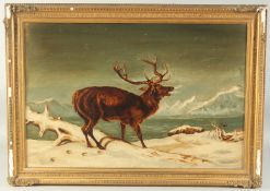 19th Century, A stag walking through shallow water at the edge of a loch with mountains in the