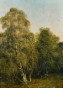 Late 19th Century A study of trees, oil on panel, 20.75
