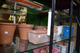 Various terracotta and other flower pots.