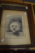 Dorothy Griffith, two pencil studies depicting dogs.