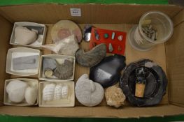 A quantity of fossils.