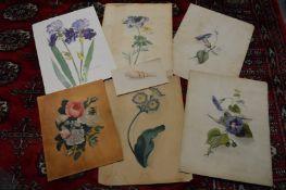 A small group of botanical studies.