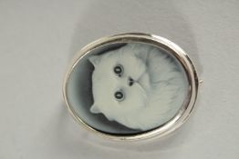 A SILVER CAT CAMEO BROOCH.
