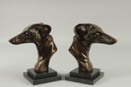 A PAIR OF BRONZE BUSTS OF GREYHOUNDS. 8.5ins high.